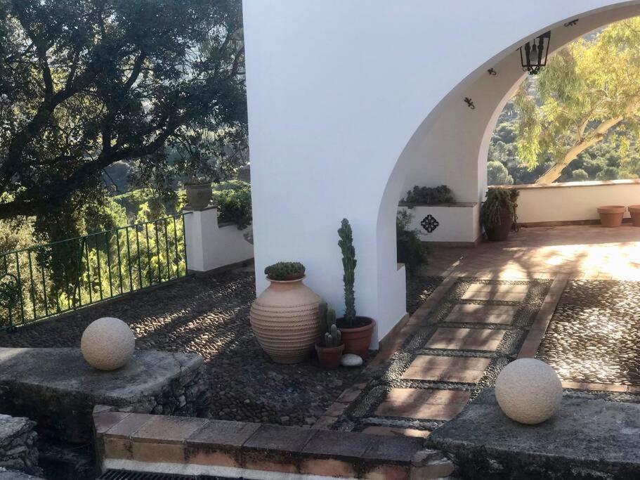 Villa Carmen Magnificent Country House In Serrania Ronda Extérieur photo
