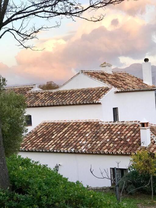 Villa Carmen Magnificent Country House In Serrania Ronda Extérieur photo