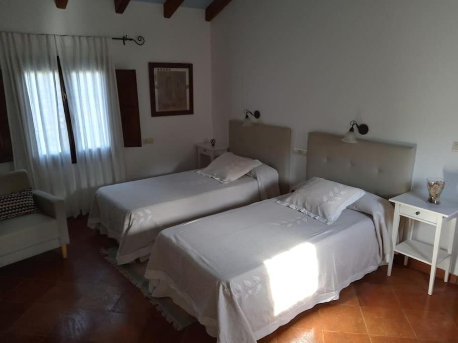 Villa Carmen Magnificent Country House In Serrania Ronda Extérieur photo
