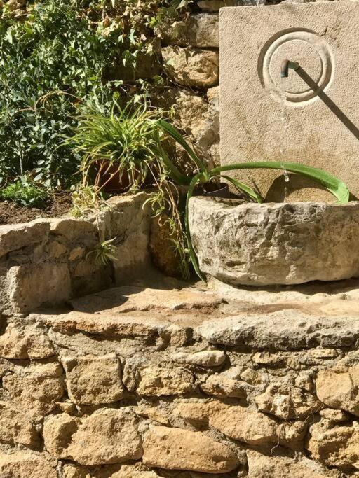 Villa Carmen Magnificent Country House In Serrania Ronda Extérieur photo